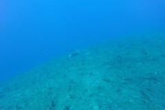DCIM\105GOPRO