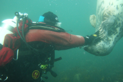 Farne02