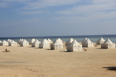 Marsa14