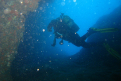 Medes 2015