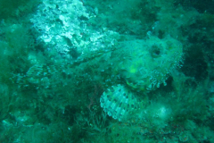 05
