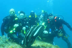 Medes Islands 2012