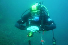 Medes07