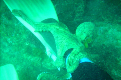 DIGITAL CAMERA