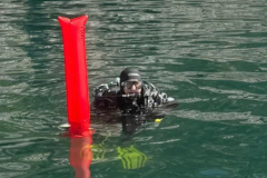 Diver-up