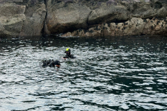 Divers-at-wall