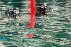 divers-up1