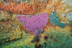 DSC00493