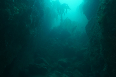 DSC00670