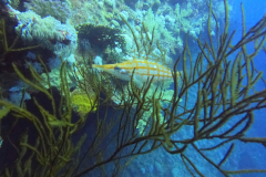 DCIM\100GOPRO\GOPR0375.JPG