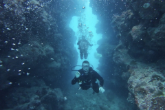 Barrier-Reefing