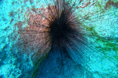 DCIM\100GOPRO\GOPR1132.JPG