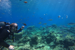 DCIM\100GOPRO\GOPR1011.JPG