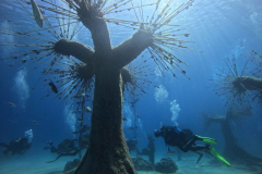 Sea-Tree