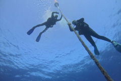 Up-the-shot