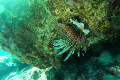 DCIM\100GOPRO\GOPR1099.JPG
