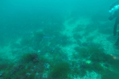 DCIM\100GOPRO\GOPR0935.