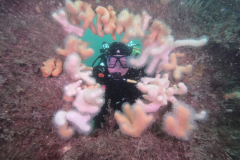 DCIM\100GOPRO\GOPR0983.JPG