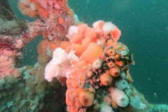 DCIM\100GOPRO\GOPR1040.JPG