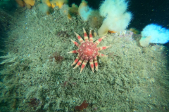 DCIM\100GOPRO\GOPR1088.JPG