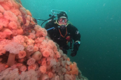 DCIM\100GOPRO\GOPR1091.JPG