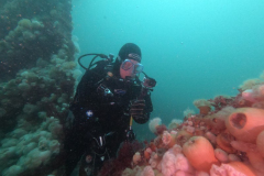 DCIM\100GOPRO\GOPR1102.JPG