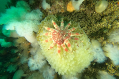 DCIM\100GOPRO\GOPR1107.JPG
