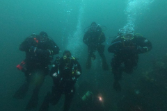 DCIM\100GOPRO\GOPR1113.JPG