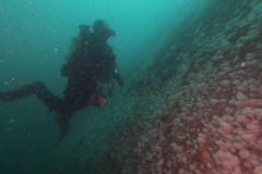 DCIM\100GOPRO\G0111138.JPG