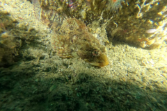 DCIM\100GOPRO\GOPR1156.JPG