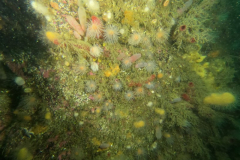 DCIM\100GOPRO\GOPR1164.JPG