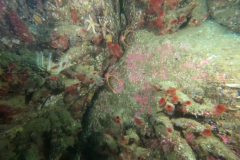DCIM\100GOPRO\GOPR1180.JPG